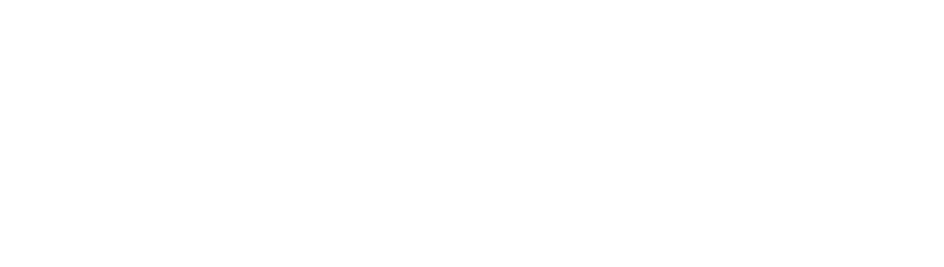 DOMINE Academy
